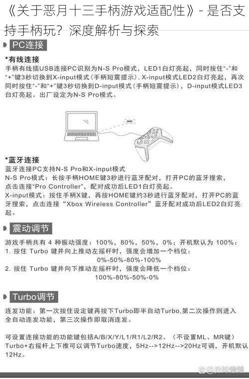 《关于恶月十三手柄游戏适配性》- 是否支持手柄玩？深度解析与探索