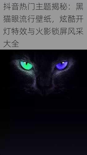 抖音热门主题揭秘：黑猫眼流行壁纸，炫酷开灯特效与火影锁屏风采大全