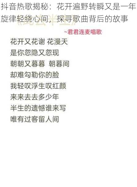 抖音热歌揭秘：花开遍野转瞬又是一年旋律轻绕心间，探寻歌曲背后的故事