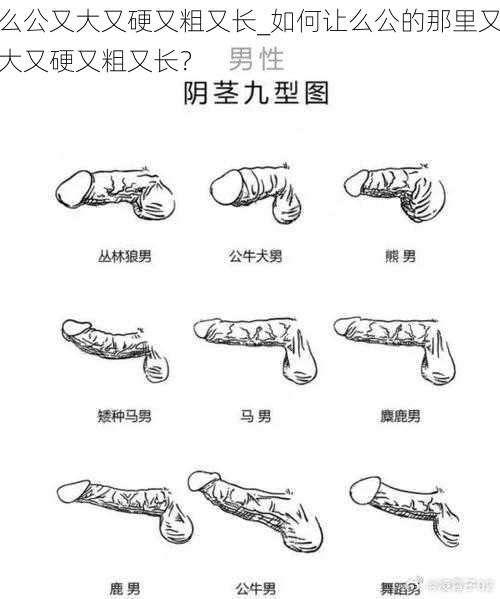 么公又大又硬又粗又长_如何让么公的那里又大又硬又粗又长？