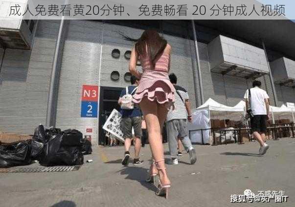 成人免费看黄20分钟、免费畅看 20 分钟成人视频