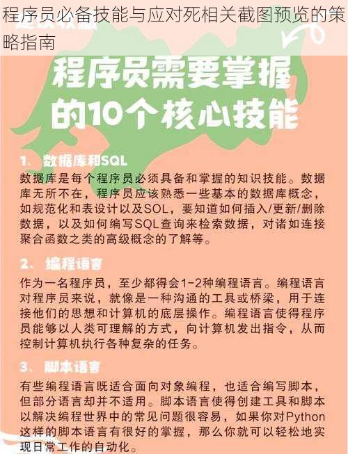 程序员必备技能与应对死相关截图预览的策略指南