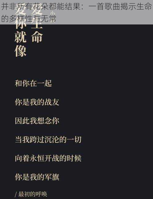 并非所有花朵都能结果：一首歌曲揭示生命的多样性与无常