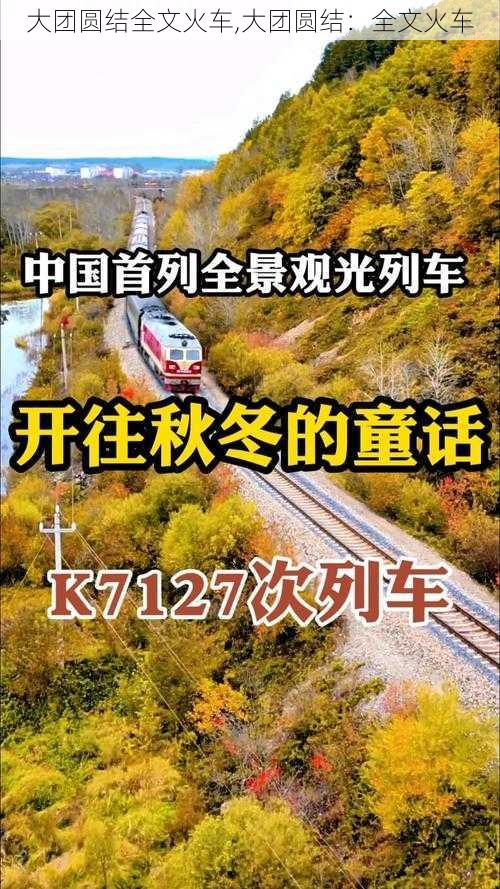 大团圆结全文火车,大团圆结：全文火车