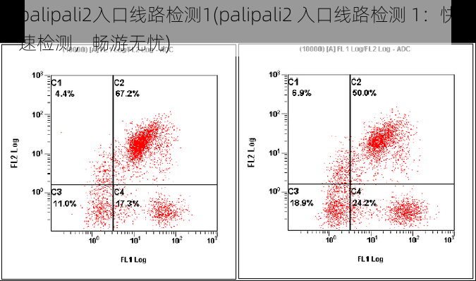 palipali2入口线路检测1(palipali2 入口线路检测 1：快速检测，畅游无忧)