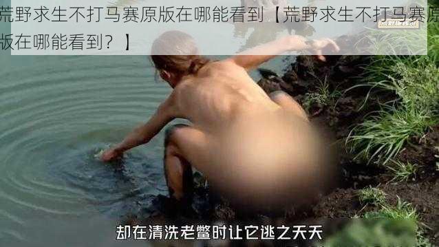 荒野求生不打马赛原版在哪能看到【荒野求生不打马赛原版在哪能看到？】