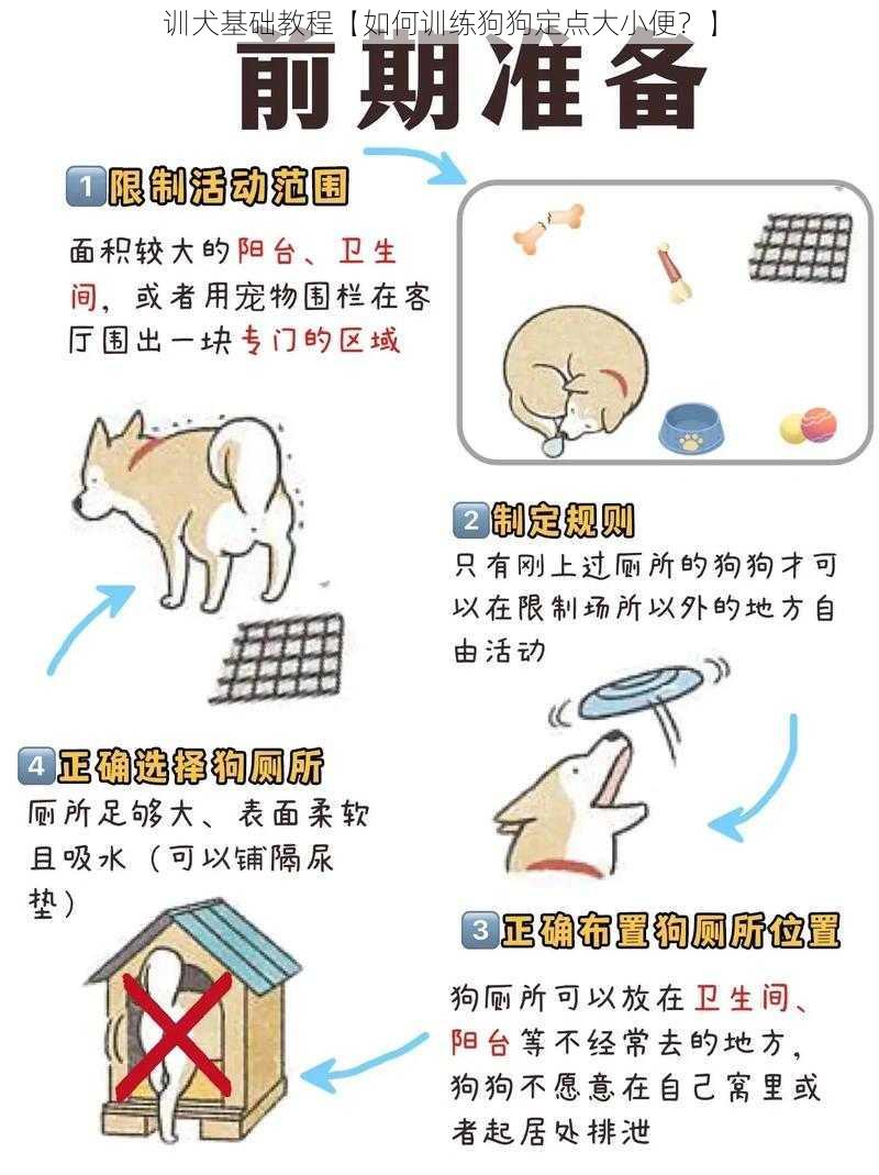 训犬基础教程【如何训练狗狗定点大小便？】