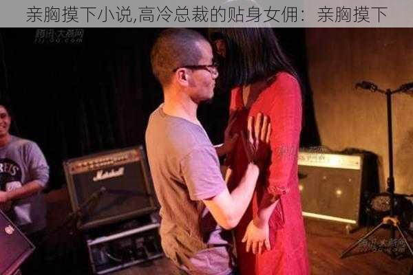 亲胸摸下小说,高冷总裁的贴身女佣：亲胸摸下