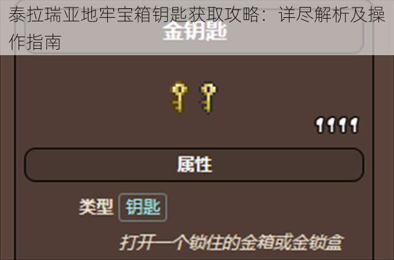 泰拉瑞亚地牢宝箱钥匙获取攻略：详尽解析及操作指南
