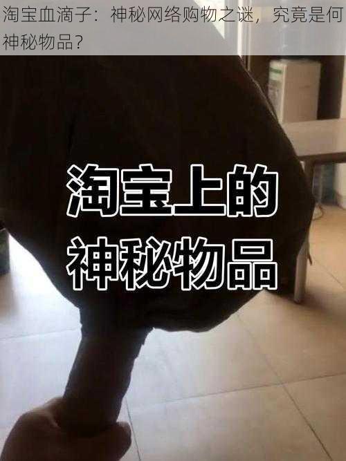 淘宝血滴子：神秘网络购物之谜，究竟是何神秘物品？