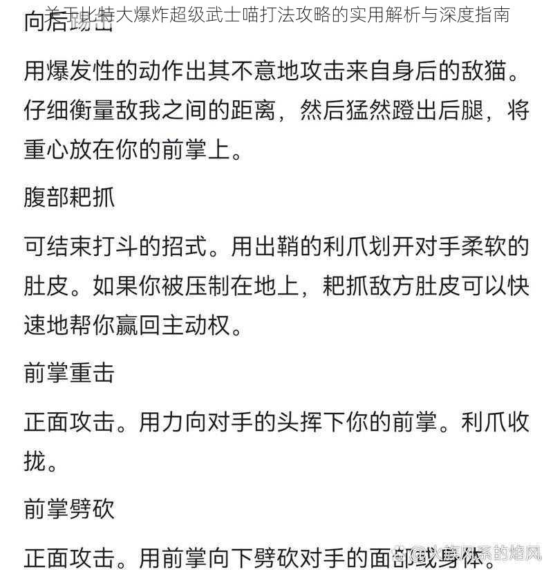 关于比特大爆炸超级武士喵打法攻略的实用解析与深度指南