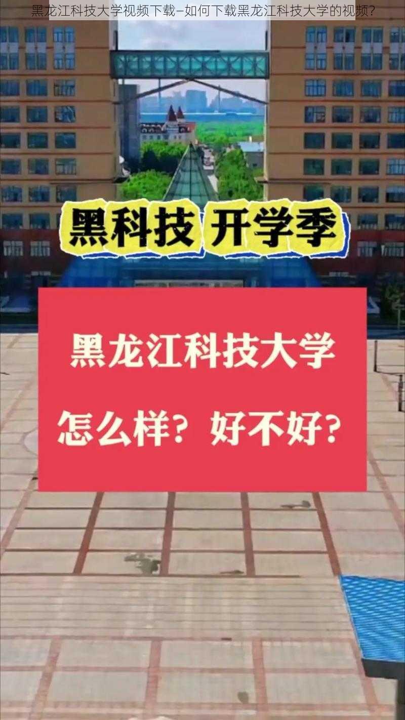 黑龙江科技大学视频下载—如何下载黑龙江科技大学的视频？