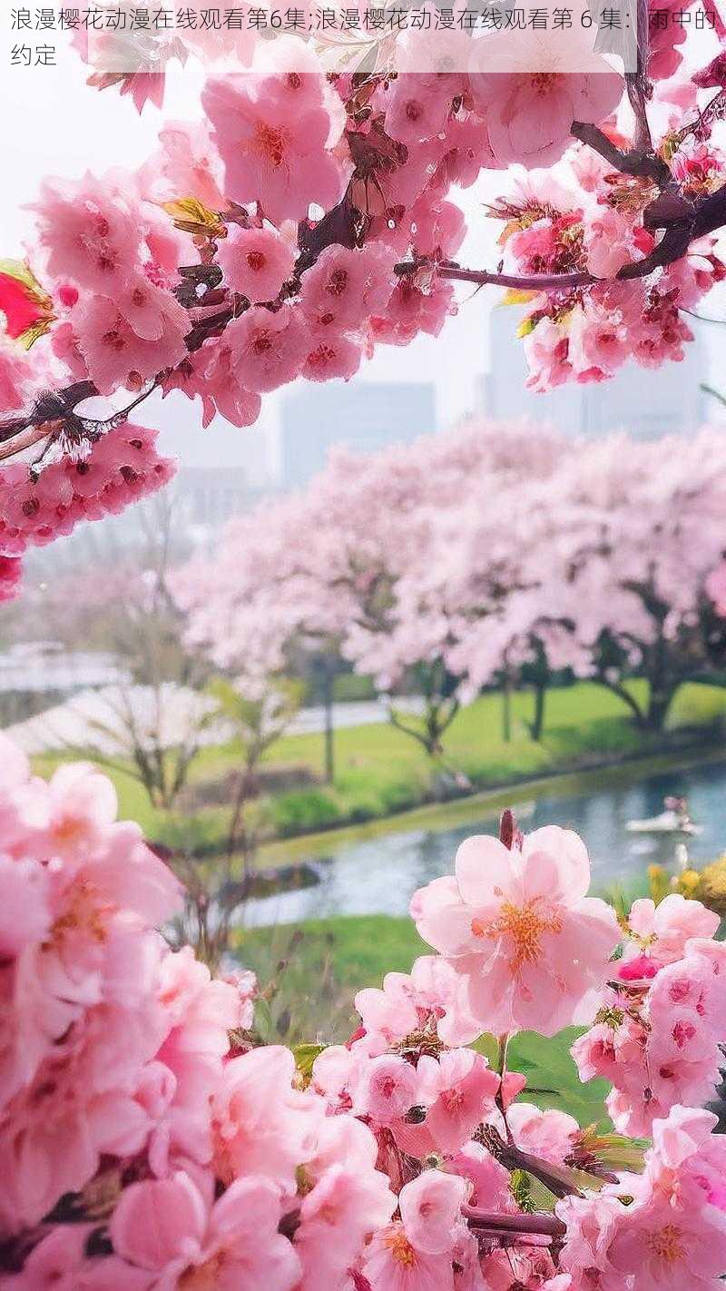 浪漫樱花动漫在线观看第6集;浪漫樱花动漫在线观看第 6 集：雨中的约定