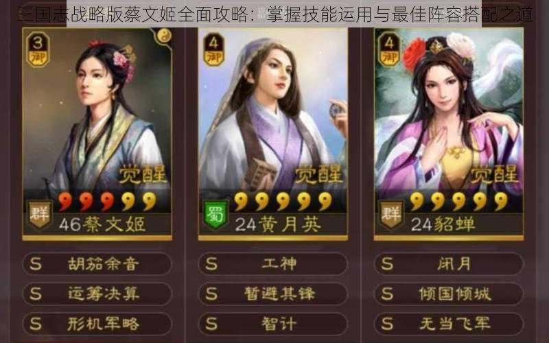 三国志战略版蔡文姬全面攻略：掌握技能运用与最佳阵容搭配之道