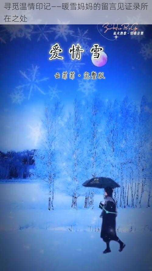 寻觅温情印记——暖雪妈妈的留言见证录所在之处