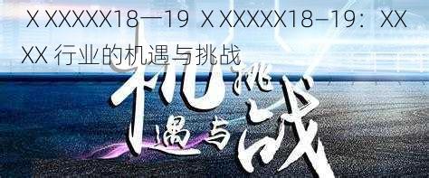 ⅩXXXXX18一19 ⅩXXXXX18—19：XXXX 行业的机遇与挑战