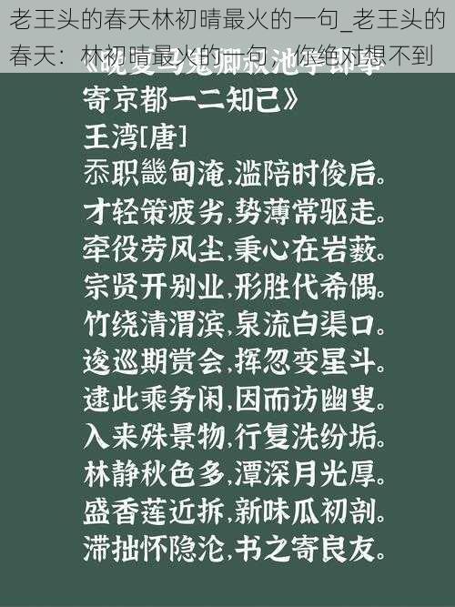 老王头的春天林初晴最火的一句_老王头的春天：林初晴最火的一句，你绝对想不到