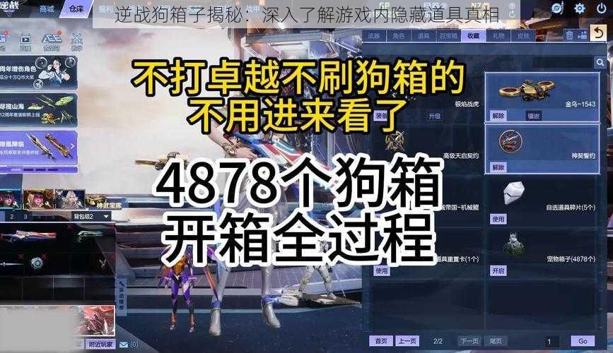 逆战狗箱子揭秘：深入了解游戏内隐藏道具真相