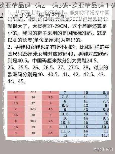 欧亚精品码1码2一码3码-欧亚精品码 1 码 2 一码 3 码，是真的吗？