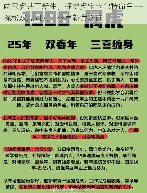 两只虎共育新生，探寻虎宝宝独特命名——探秘双虎同力，孕育新命之谜