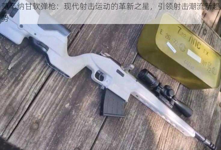 莫辛纳甘软弹枪：现代射击运动的革新之星，引领射击潮流新趋势