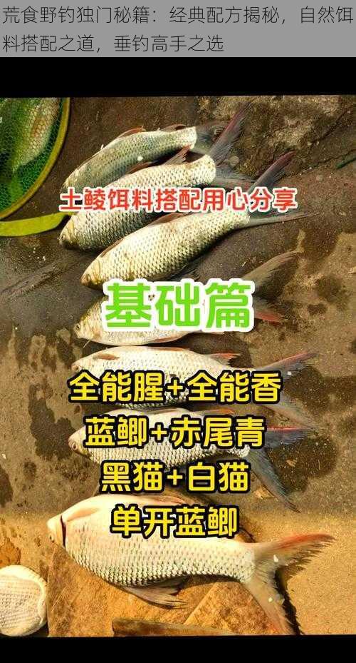 荒食野钓独门秘籍：经典配方揭秘，自然饵料搭配之道，垂钓高手之选