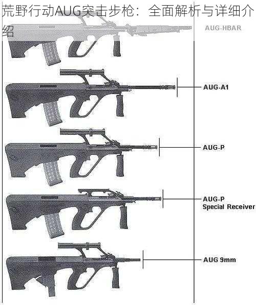 荒野行动AUG突击步枪：全面解析与详细介绍