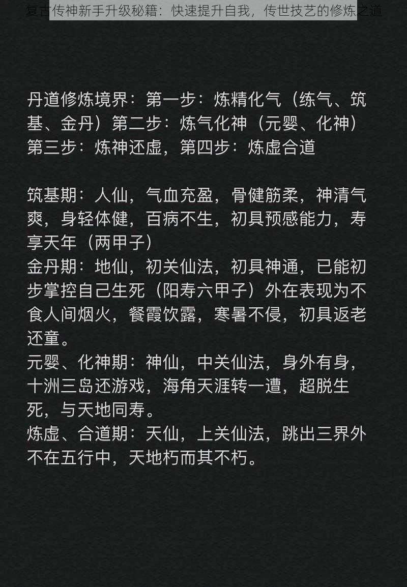 复古传神新手升级秘籍：快速提升自我，传世技艺的修炼之道