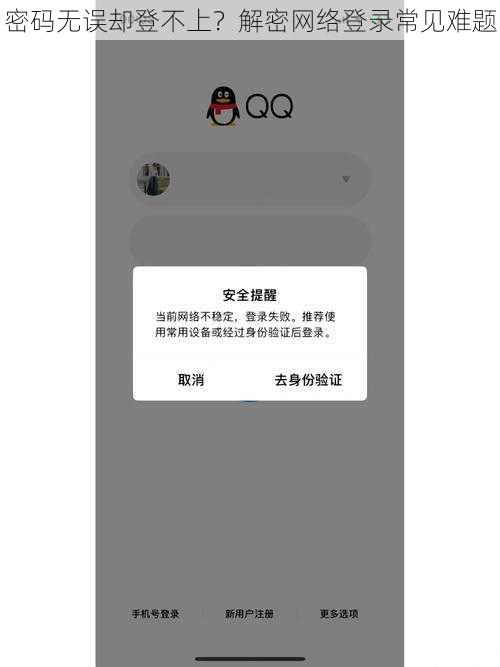 密码无误却登不上？解密网络登录常见难题