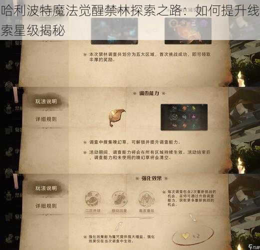 哈利波特魔法觉醒禁林探索之路：如何提升线索星级揭秘