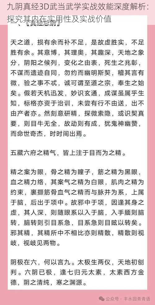 九阴真经3D武当武学实战效能深度解析：探究其内在实用性及实战价值