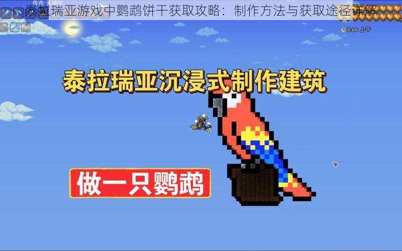 泰拉瑞亚游戏中鹦鹉饼干获取攻略：制作方法与获取途径详解