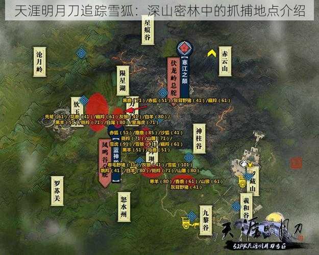 天涯明月刀追踪雪狐：深山密林中的抓捕地点介绍